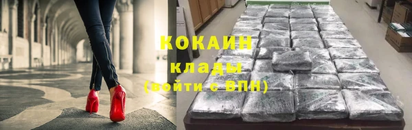 твердый Аркадак