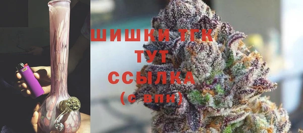 твердый Аркадак